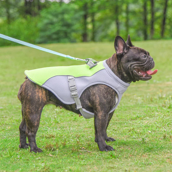 Chaleco refrigerante para perros — Chaqueta refrescante instantánea para cualquier raza