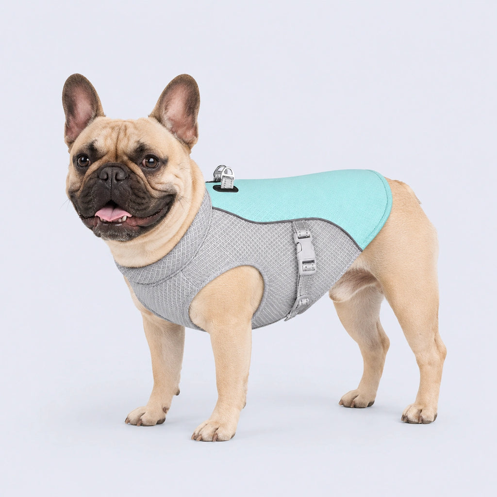 Chaleco refrigerante para perros — Chaqueta refrescante instantánea para cualquier raza